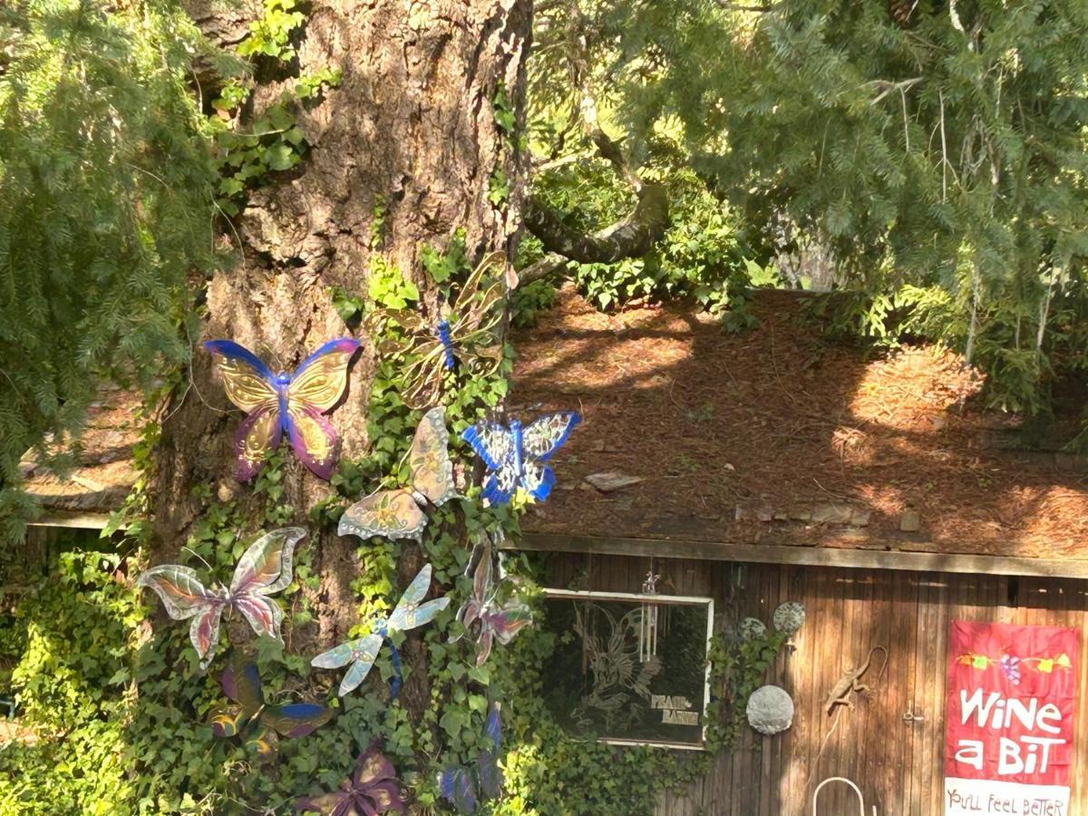 Foothill House Bed & Breakfast Calistoga Exterior photo
